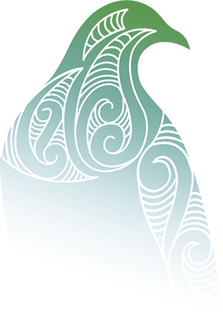 Stylised kereru graphic